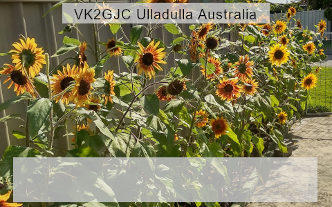 QSL Card from VK2GJC Greg Cogar, Ulladulla NSW Australia